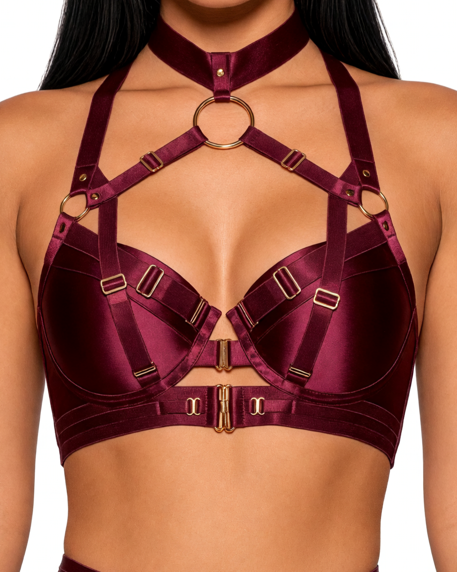 Strapping set, Burgundy