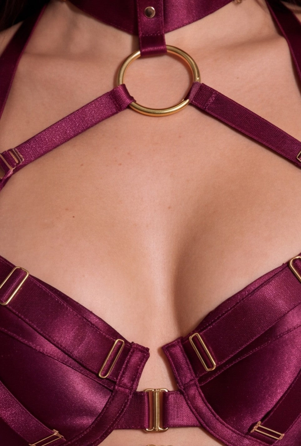 ai burgundy strapping e1 2